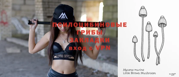 хмурый Абаза