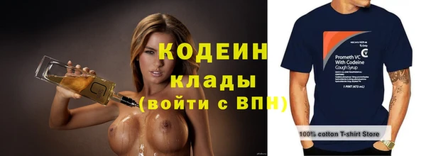 хмурый Абаза