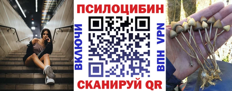 Галлюциногенные грибы мицелий Гагарин