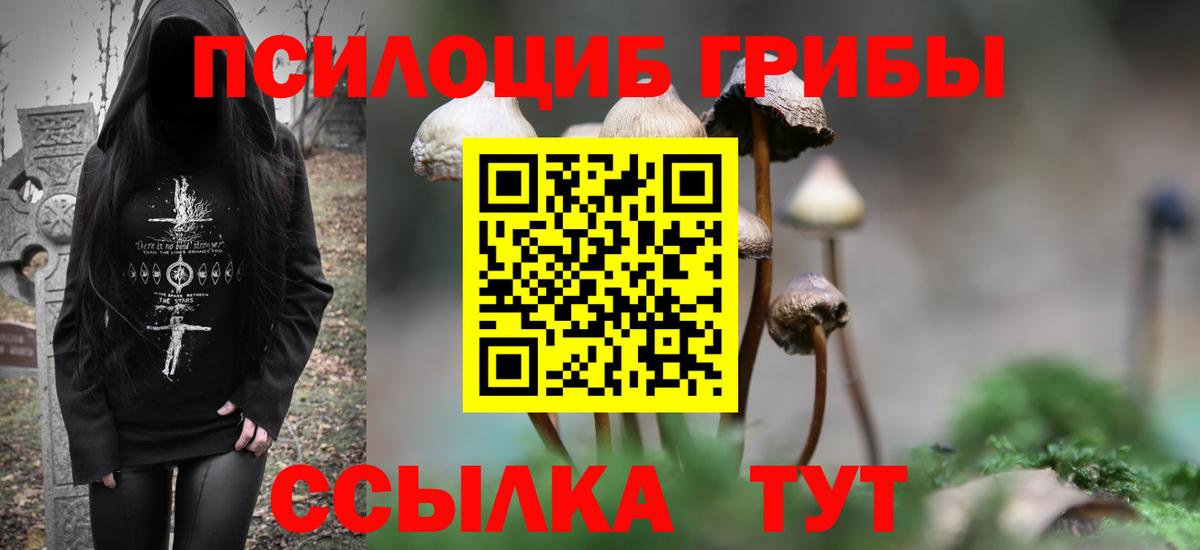 Псилоцибиновые грибы Psilocybine cubensis Гагарин
